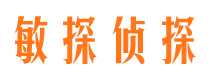 平鲁私人侦探